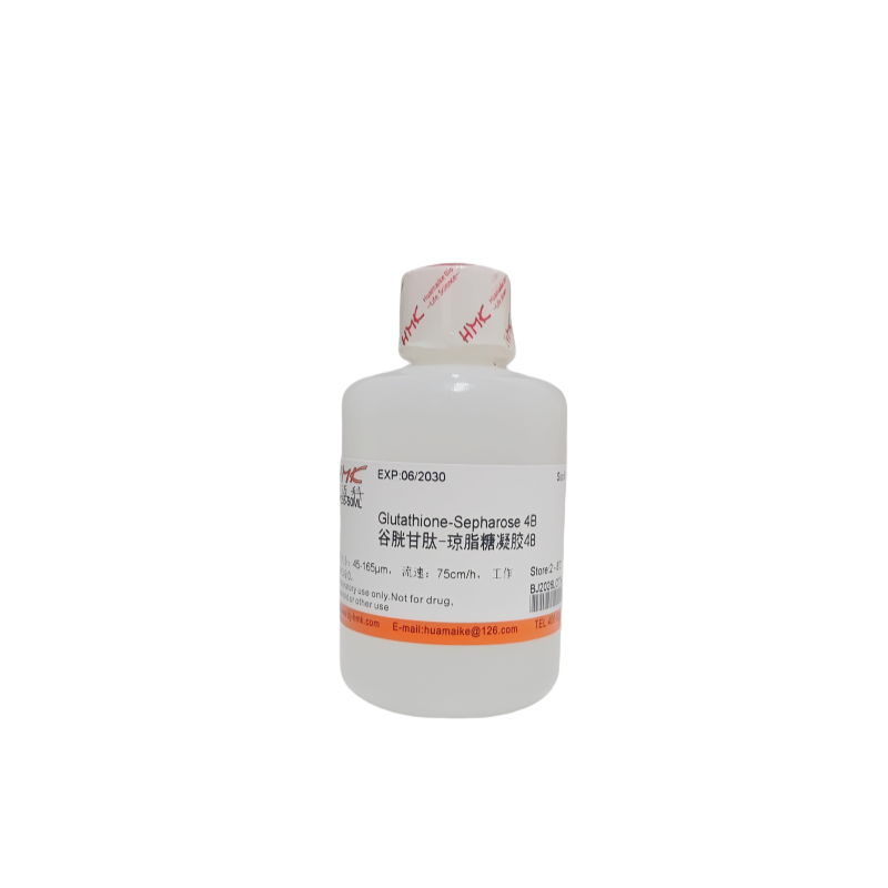 谷胱甘肽-琼脂糖凝胶4B（凝胶过滤填料）